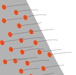 Goosebumps (on skin)