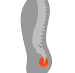 Tailbone (end of spine)